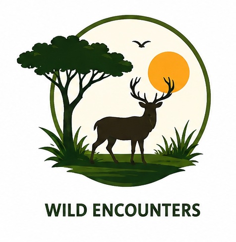 Wildlife Experience